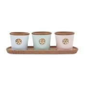 Load image into Gallery viewer, Set of 3 Ceramic Herb Pots

