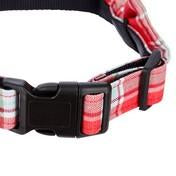 Load image into Gallery viewer, Dogs on Parade Large Dog Collar
