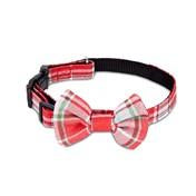 Load image into Gallery viewer, Dogs on Parade Small Dog Collar
