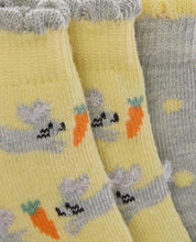 Load image into Gallery viewer, Pack of 2 Fluffy Hares Trainer Socks
