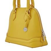 Load image into Gallery viewer, Saffron Medium Kettle Bag
